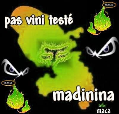 pas vini testé