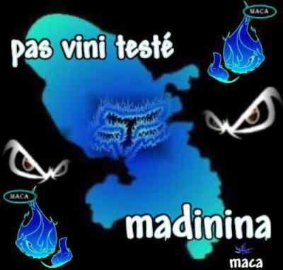 pas vini testé