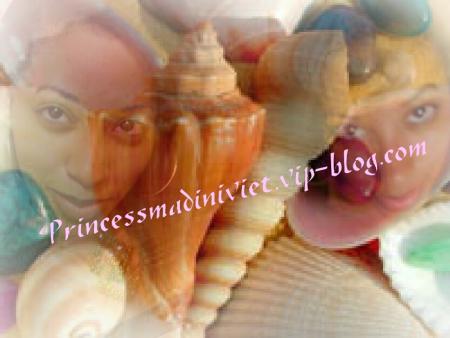 Coquillage